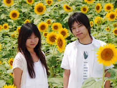 コトノハクロニクル:写真